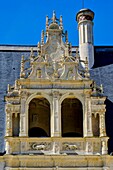 Frankreich, Indre et Loire, Loire-Tal, von der UNESCO zum Weltkulturerbe erklärt, Schloss von Azay le Rideau, erbaut von 1518 bis 1527 von Gilles Berthelot, Renaissance-Stil, Salamander-Symbol von König Francois 1