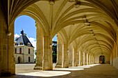 France, Deux Sevres, Oiron, castle of Oiron, dated 16 th century, the cloister