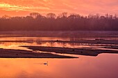 France, Indre et Loire, Loire Valley listed as World Heritage by UNESCO, the banks of the Loire river