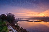 Frankreich, Indre et Loire, Loire-Tal, von der UNESCO zum Weltkulturerbe erklärt, die Ufer der Loire