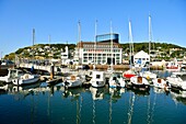 France, Seine Maritime, Pays de Caux, Cote d'Albatre (Alabaster Coast), Fecamp, the harbour