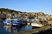 France, Seine Maritime, Le Treport, the fishing harbour and Saint Jacques church