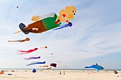 Frankreich, Pas de Calais, Opale Coast, Berck sur Mer, Berck sur Mer International Kite Meetings, 9 Tage lang empfängt die Stadt 500 Drachen aus der ganzen Welt zu einem der wichtigsten Kite-Events der Welt