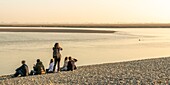France, Somme, Baie de Somme, Le Hourdel, walkers come to see the seals at Le Hourdel