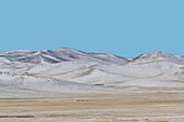 Mongolia, East Mongolia, Steppe area, Landscape, hilly
