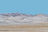 Mongolei, Ostmongolei, Steppengebiet, Landschaft, hügelig