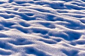 Mongolia, West Mongolia, Altai mountains, Snow crystals