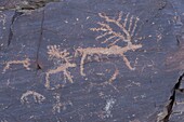 Mongolia, West Mongolia, Altai mountains, Valley of rock carvings, rocks with rock carvings, dated between - 8000 and - 3000 years old