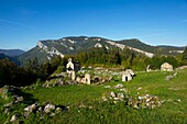France, Isere, Massif du Vercors, Trieves, Regional Natural Park, hamlet ruin of Valchevriere high place of resistance during the war 39-45 and the rock of Ferriere