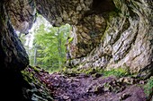 Frankreich, Isere, Massif du Vercors, Regionaler Naturpark prähistorische Fundstätte von Praletang im Wald von Coulmes in Richtung Presles