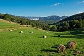 Frankreich, Isere, Massif du Vercors, Regionaler Naturpark, Heuballen auf der Wiese oberhalb von Presles, unten die Gipfel des Naturschutzgebietes