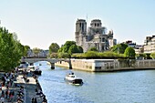 France, Paris, the banks of the Seine river listed as World Heritage by UNESCO, Ile de la Cite, Notre Dame Cathedral after the fire of the 15th April 2019