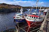 Ireland, County Donegal, Bunbeg harbour