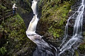 United Kingdom, Northern Ireland, Ulster, county Antrim, Glens of Antrim, Laragh waterfall in the Glenariff Forest Park