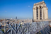 France, Paris, zone listed as World Heritage by UNESCO, the rooth and the south tower of Notre-Dame cathedral on the City island