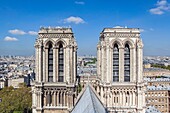 Frankreich, Paris, UNESCO-Welterbe, die Glockentürme der Kathedrale Notre-Dame auf der Stadtinsel von der Turmspitze aus gesehen, die Seine und Paris im Hintergrund