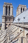 France, Paris, zone listed as World Heritage by UNESCO, Notre-Dame cathedral on the City island, the bell towers and the flying butresses