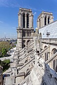 Frankreich, Paris, Weltkulturerbe der UNESCO, Kathedrale Notre-Dame auf der Stadtinsel, die Glockentürme und die fliegenden Strebepfeiler