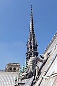 France, Paris, zone listed as World Heritage by UNESCO, Notre-Dame cathedral on the City island, metal sculpture on the south side of the roof