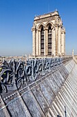 France, Paris, zone listed as World Heritage by UNESCO, Notre-Dame cathedral on the City island, the roof and the south tower
