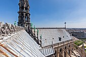 France, Paris, zone listed as World Heritage by UNESCO, Notre-Dame cathedral on the City island, the lead roof with the apostles statues and the spire (archive)