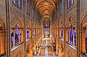 France, Paris, zone listed as World Heritage by UNESCO, city island, the nave of the Notre-Dame cathedral