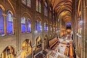 France, Paris, zone listed as World Heritage by UNESCO, city island, the nave of the Notre-Dame cathedral