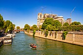 Frankreich, Paris, Weltkulturerbe der UNESCO, Ile de la Cite, Kathedrale Notre Dame und ein Boot