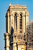 France, Paris, area listed as World heritage by UNESCO, Ile de la Cite, Notre Dame Cathedral, Scaffolding