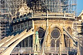 France, Paris, area listed as World heritage by UNESCO, Ile de la Cite, Notre Dame Cathedral, Scaffolding