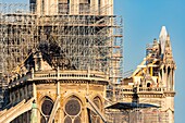 France, Paris, area listed as World heritage by UNESCO, Ile de la Cite, Notre Dame Cathedral, scaffolding, protection after the fire