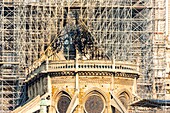 France, Paris, area listed as World heritage by UNESCO, Ile de la Cite, Notre Dame Cathedral, Scaffolding