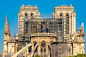 France, Paris, area listed as World heritage by UNESCO, Ile de la Cite, Notre Dame Cathedral, Scaffolding