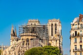 France, Paris, area listed as World heritage by UNESCO, Ile de la Cite, Notre Dame Cathedral, Scaffolding