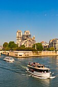 France, Paris, area listed as World heritage by UNESCO, Ile de la Cite, Notre Dame Cathedral and a fly boat