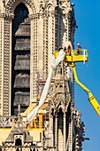 France, Paris, area listed as World heritage by UNESCO, Ile de la Cite, Notre Dame Cathedral, scaffolding, protection after the fire