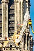 France, Paris, area listed as World heritage by UNESCO, Ile de la Cite, Notre Dame Cathedral, scaffolding, protection after the fire