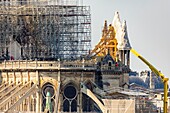 Frankreich, Paris, UNESCO-Welterbe, Ile de la Cite, Kathedrale Notre Dame, Baugerüst, Schutz nach dem Brand