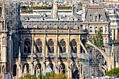 Frankreich, Paris, Welterbe der UNESCO, Ile de la Cite, Kathedrale Notre-Dame