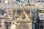 Frankreich, Paris, UNESCO-Welterbegebiet, Ile de la Cite, Südfassade der Kathedrale Notre Dame, Fensterrose