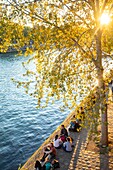 France, Paris, area listed as World heritage by UNESCO, Saint Louis Island, Orleans Pier at sunset