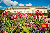 France, Hauts de Seine, the park of Sceaux, orangery