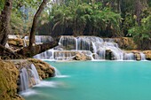 Laos, Provinz Luang Prabang, Kuang Si Wasserfälle