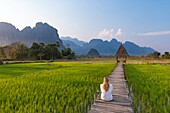 Lao, Vientiane Province, Vang Vieng, rice field, Karstic Mountains in the background