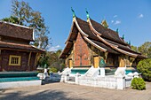 Laos, Luang Prabang, Vat Xieng Thong, mosaic of the tree of life