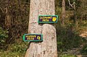 Laos, Sayaboury province, Elephant Conservation Center, sign indicating paths for tourists and elephants