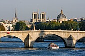 France, Paris, area listed as World heritage by UNESCO, The Seine at the Royal Bridge on the backdrop of Notre-Dame
