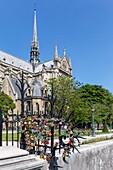 France, Paris, area listed as World heritage by UNESCO, Notre-Dame de Paris, lock on the gate of the Square Jean XXIII
