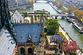 France, Paris, area listed as World heritage by UNESCO, Jean XXIII Park, Notre-Dame Cathedral of Paris