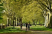 France, Gironde, Bordeaux, area listed as World Heritage by UNESCO, the banks of the Garonne river, Edmond Geraud promenade